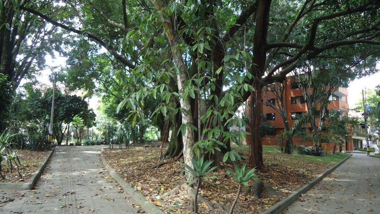 Iris Hostel Medellin Exterior photo